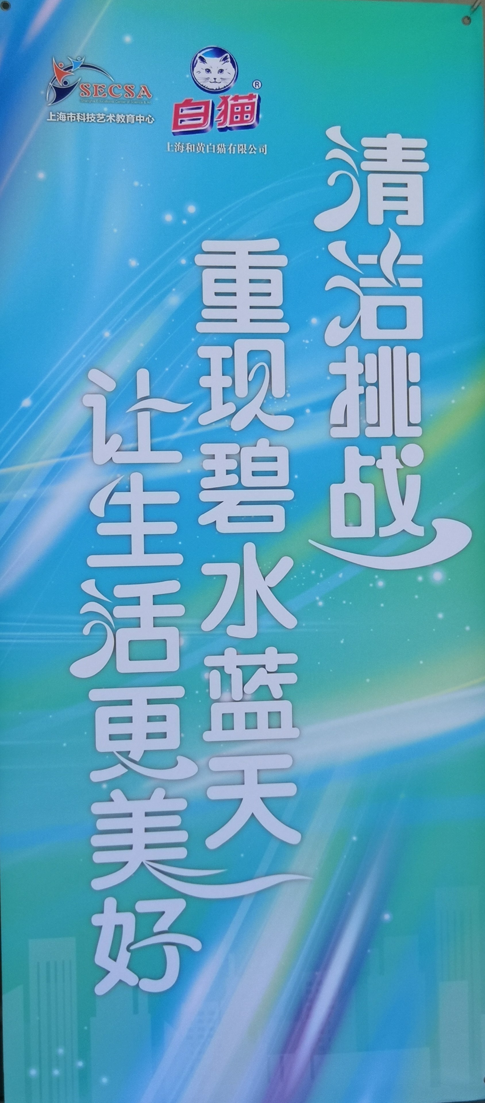 上海市化学化工学会 Shanghai Society of Chemistry and Chemical Industry (SSCCI)